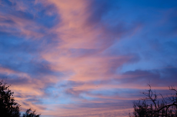 Pink & Blue