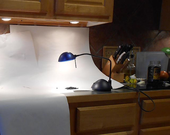 My First Studio